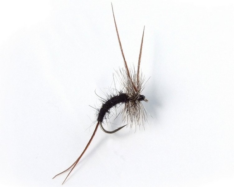 Yamagata Sendai Kebari - Dry Fly-Black-large1.jpg