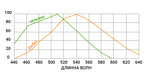 спектр.jpg