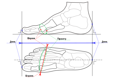 langru-400px-Foot_width_and_length_measurement_for_Mondopoint_(multilingual).svg.png