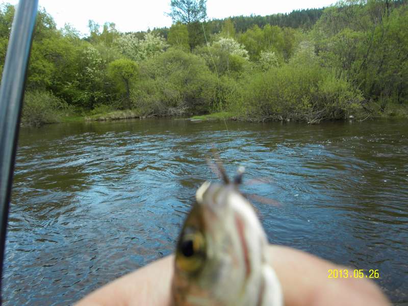 SDC11077_thumb.jpg