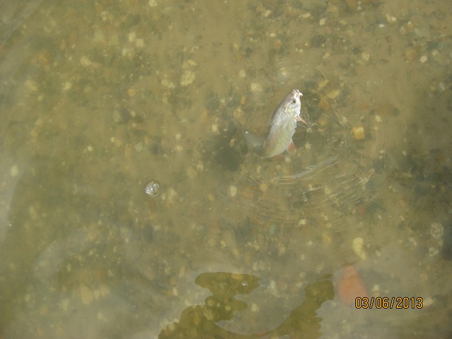 IMG_2287.JPG