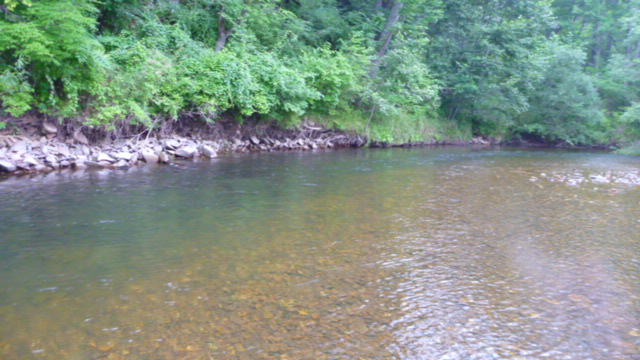 P1020730.JPG