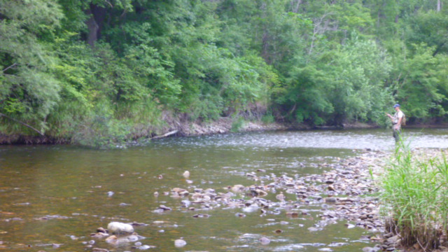 P1020734.JPG