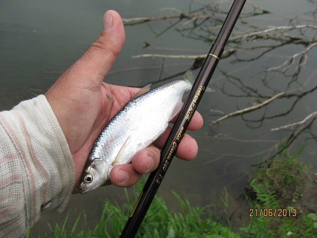IMG_2424.JPG
