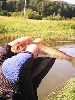IMG0102A.jpg