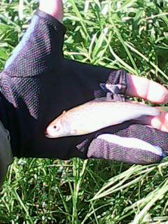 IMG0103A.jpg