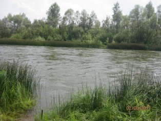 IMG_2638.JPG