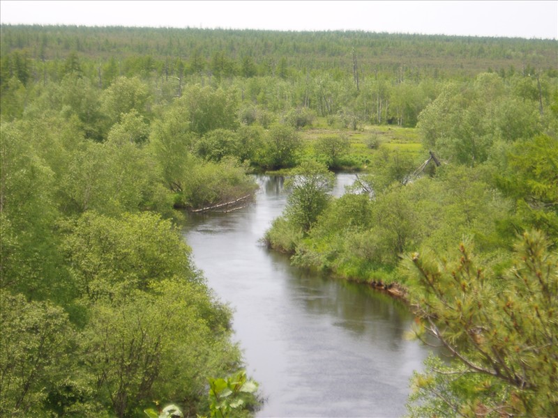 P6280004 (Copy).JPG