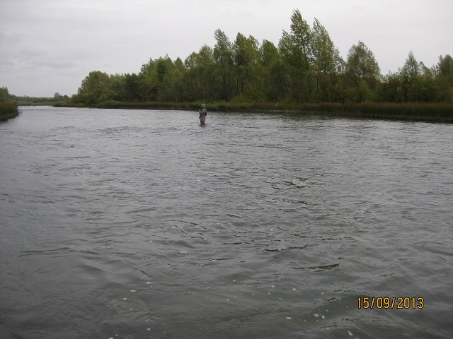 IMG_2785.JPG