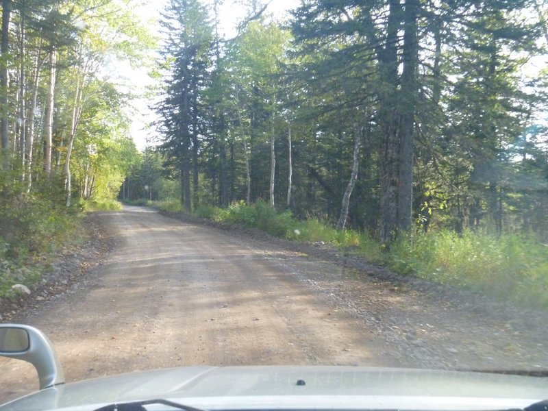 P1050385.JPG