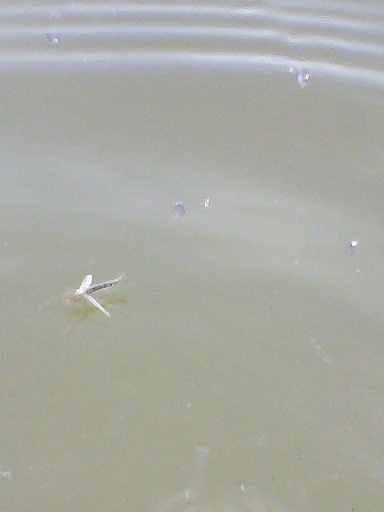picture_00881.jpg