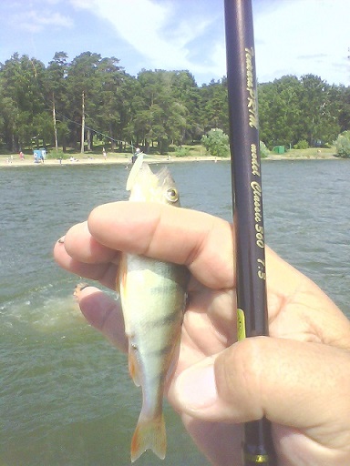 picture_00932.jpg
