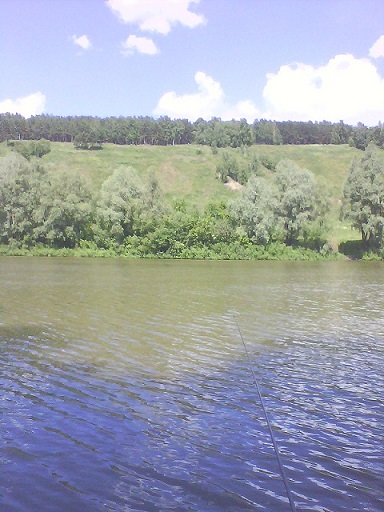 picture_00937.jpg