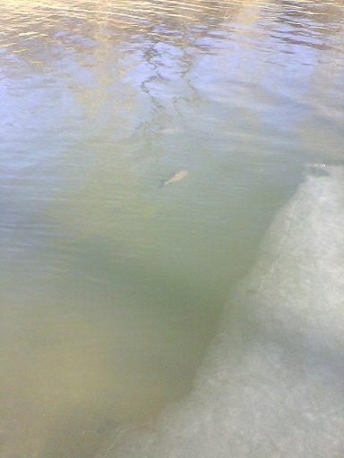 picture_01024.jpg