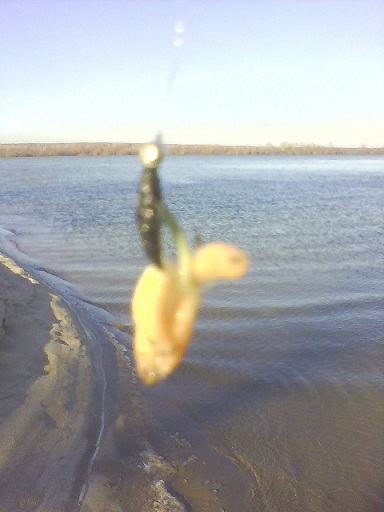 picture_01021.jpg