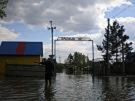 P1010012.jpg