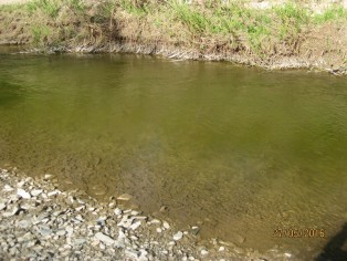 IMG_4494.JPG