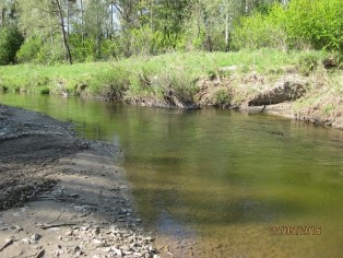 IMG_4495.JPG