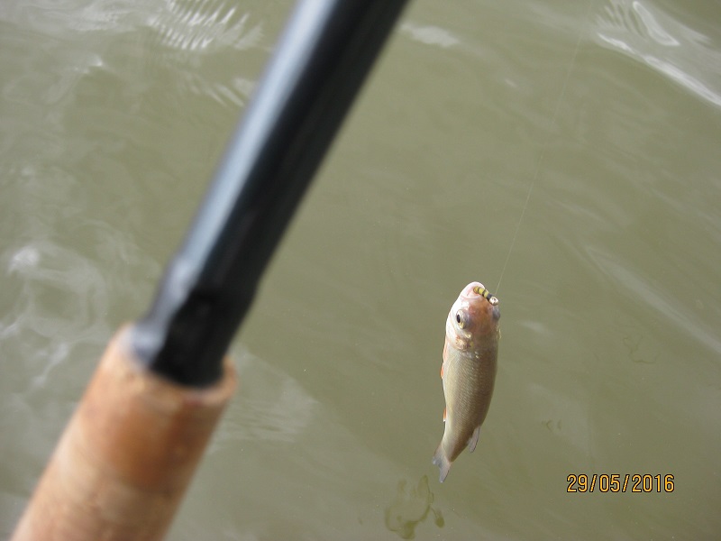 IMG_4503.JPG
