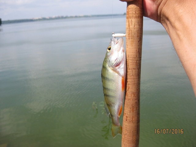 IMG_4639.JPG