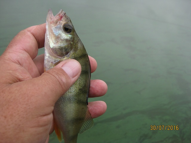 IMG_4655.JPG