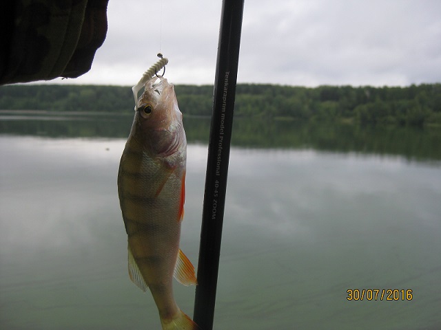IMG_4657.JPG