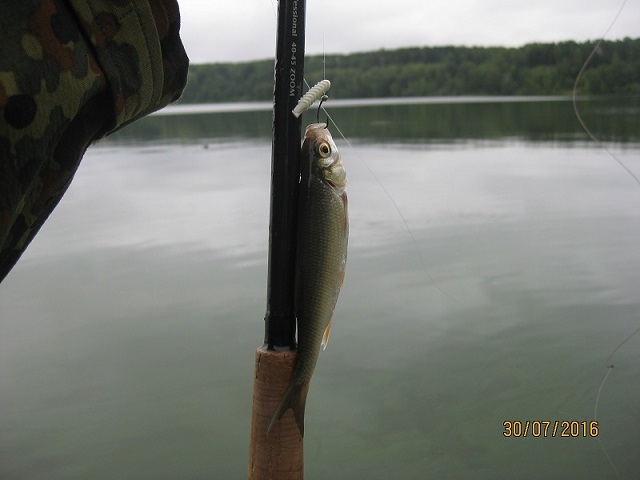IMG_4658.JPG