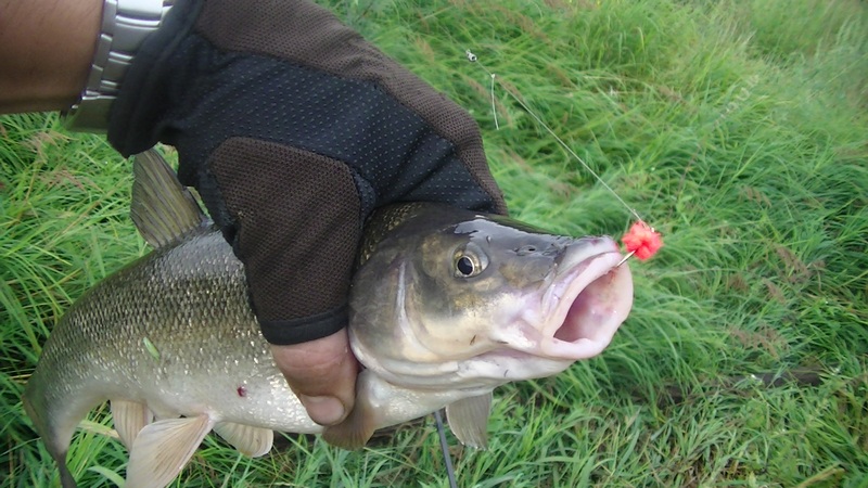 PIC_0388.JPG