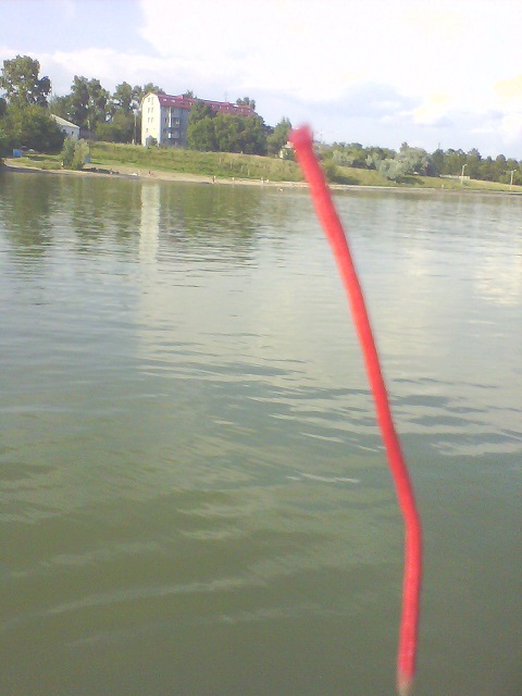 picture_00957.jpg