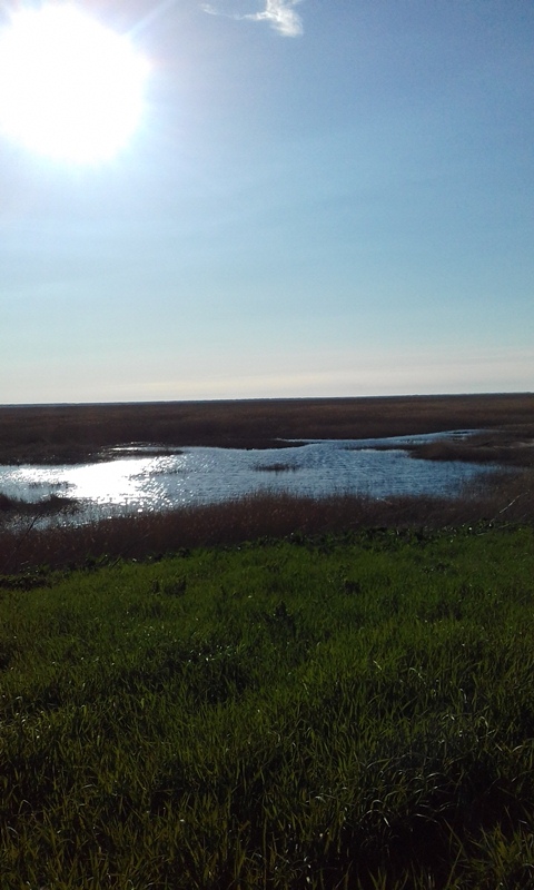 20170414_170825.jpg