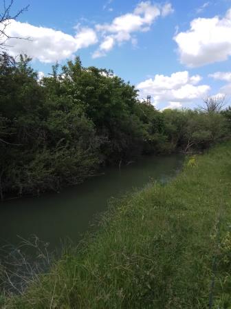 IMG_20170527_141102.jpg