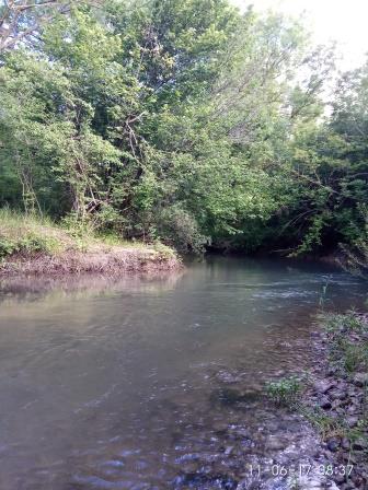 IMG_20170611_083712.jpg