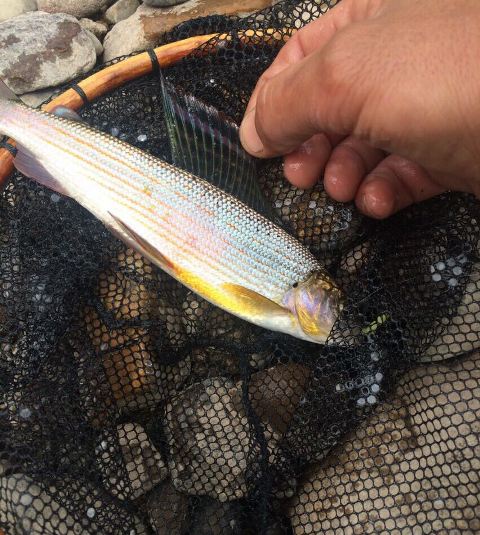 IMG-20170617-WA0074.jpg