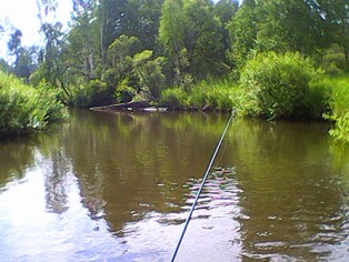 IMG0013A.jpg