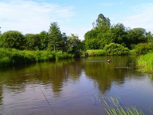 IMG0017A.jpg