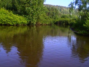 IMG0018A.jpg