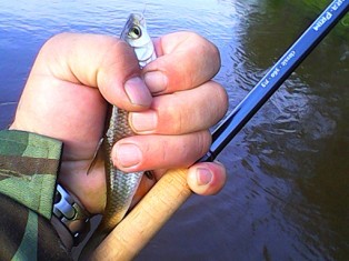 IMG0023A.jpg