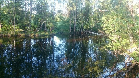 IMG-20170716-WA0002-960x540-480x270.jpeg