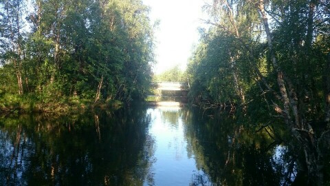 IMG-20170716-WA0006-960x540-480x270.jpeg