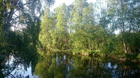 IMG-20170716-WA0004-960x540-480x270.jpeg