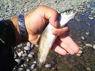 IMG0048A.jpg