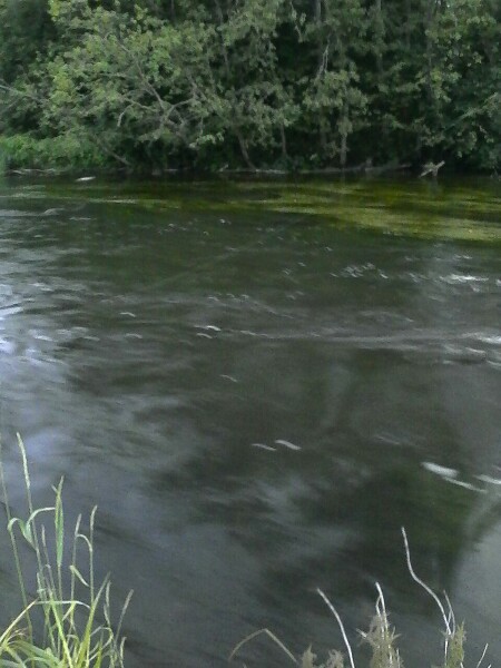 IMG-20170805-WA0002-450x600.jpg