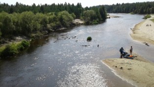 Бревна.jpg