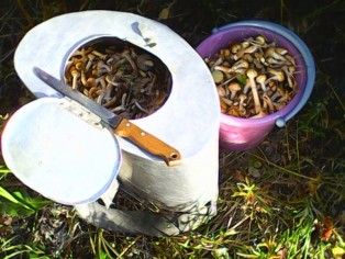 IMG0082A.jpg