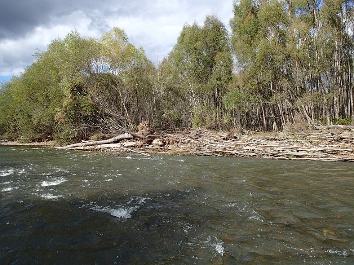 PA060016.JPG