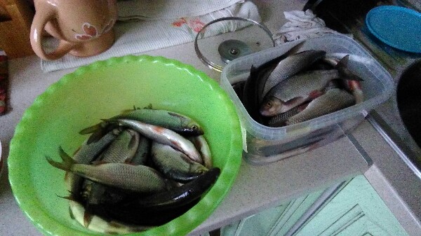 IMG-20180401-WA0000-600x337.jpeg