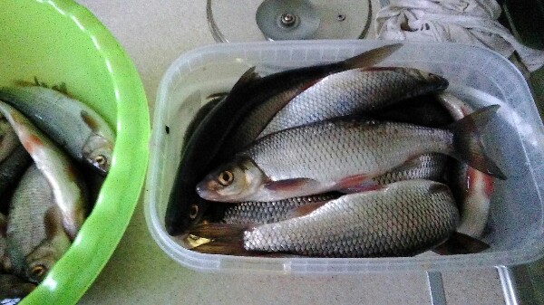 IMG-20180401-WA0002-600x337.jpeg