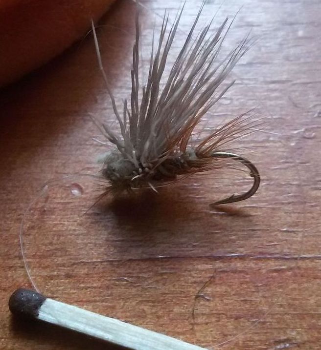 20180607_142742.jpg