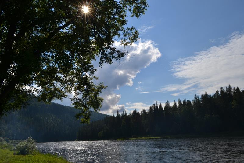 DSC_0482 (Copy).JPG