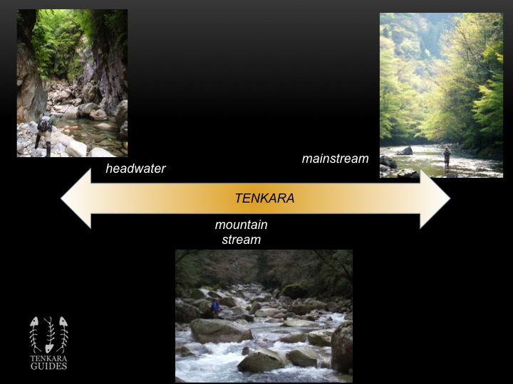 Fig-2-The-Spectrum-of-Tenkara.jpg